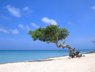   райский уголок