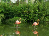   отзыв об отеле occidental grand flomenko 4*